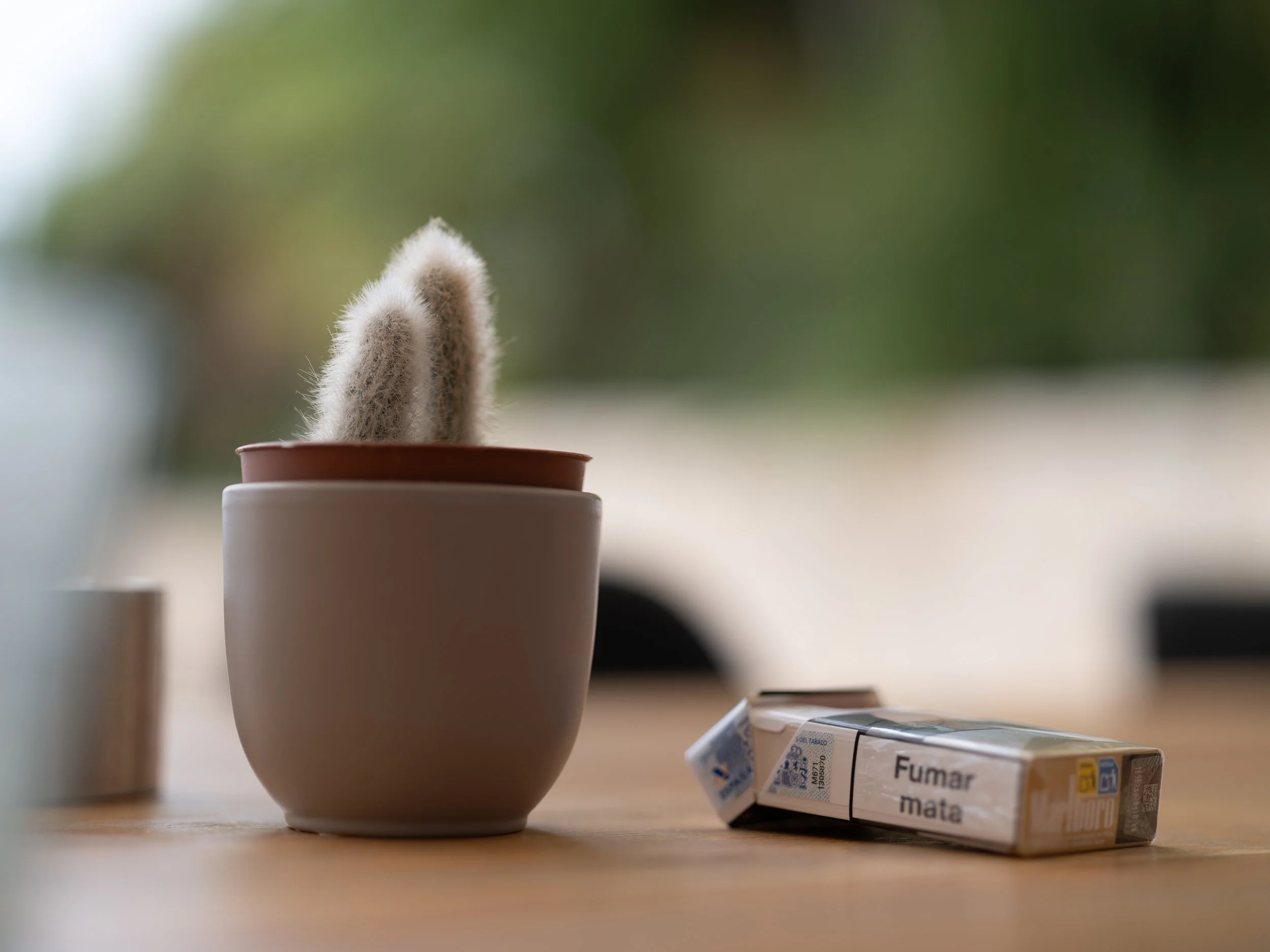 fuji gfx 100 II - 80mm f17-2.jpg