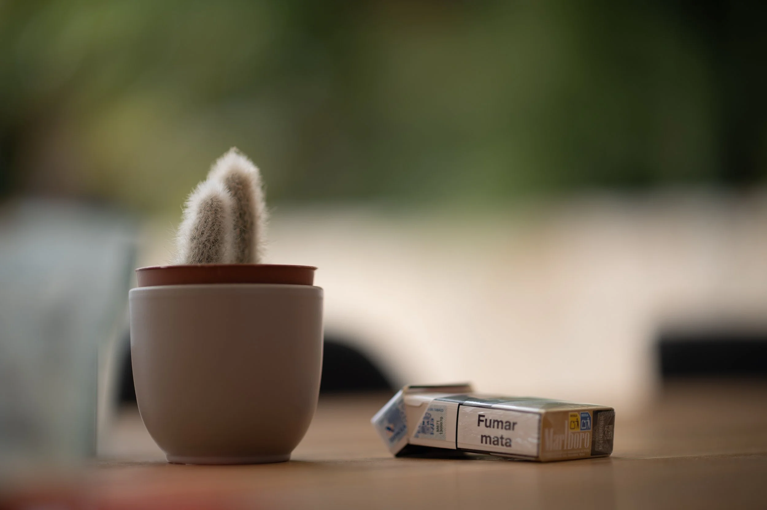 leica sl3 - noctilux 75mm-2.jpg