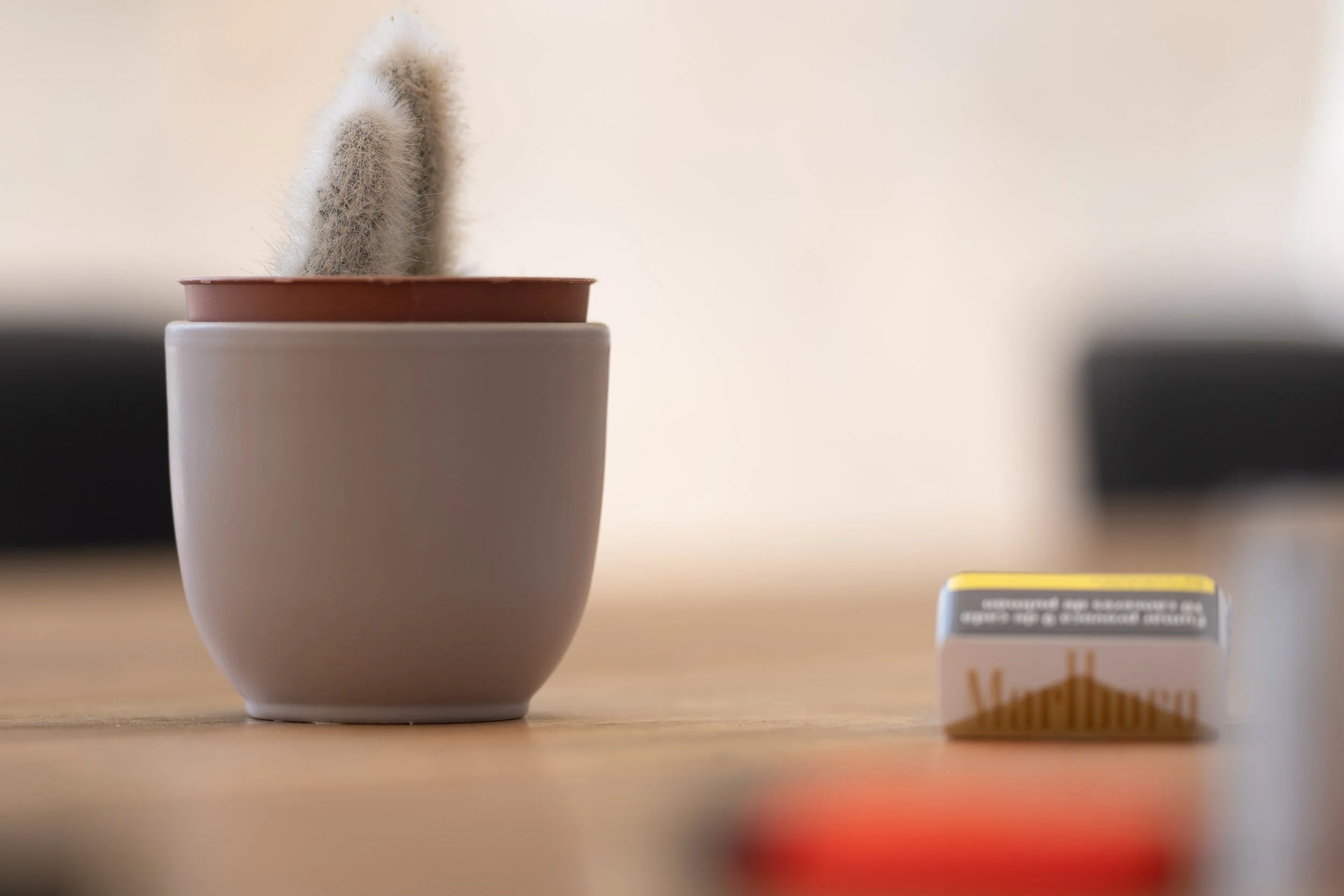 sony a7rv - 135mm gm-2.jpg